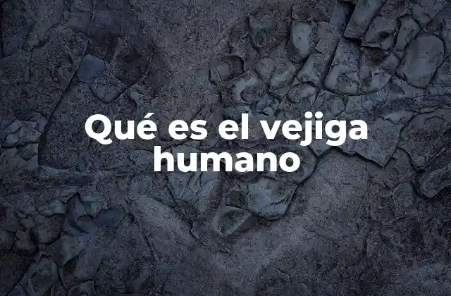 Qué es el Vejiga Humano