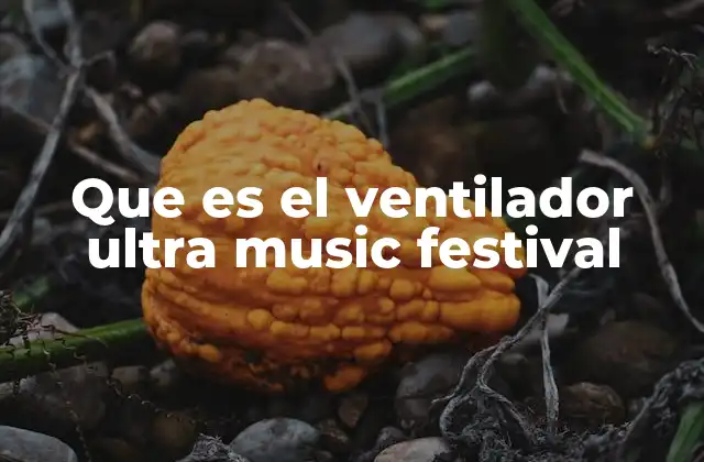 Que es el Ventilador Ultra Music Festival