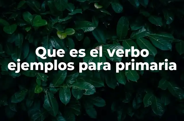 Que es el Verbo Ejemplos para Primaria