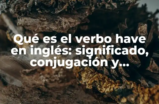 Qué es el Verbo Have en Inglés: Significado, Conjugación y Ejemplos