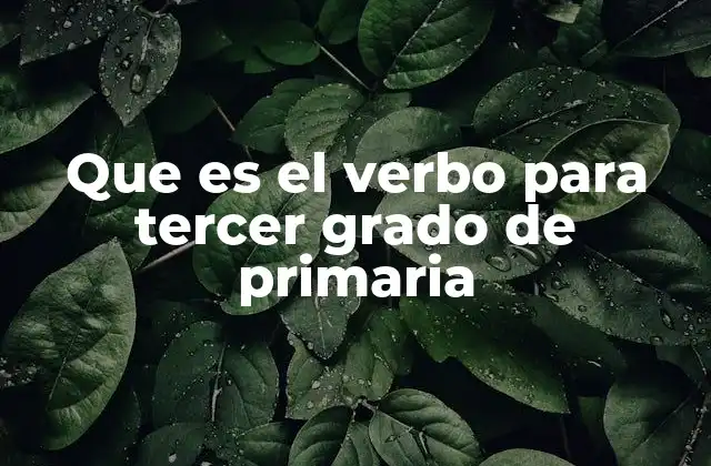 Que es el Verbo para Tercer Grado de Primaria