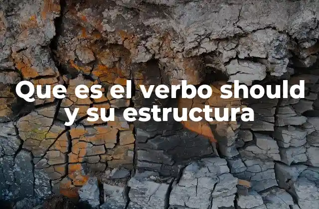 Que es el Verbo Should y Su Estructura