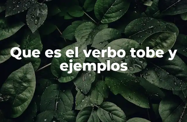 El rol del verbo to be en la gramática inglesa