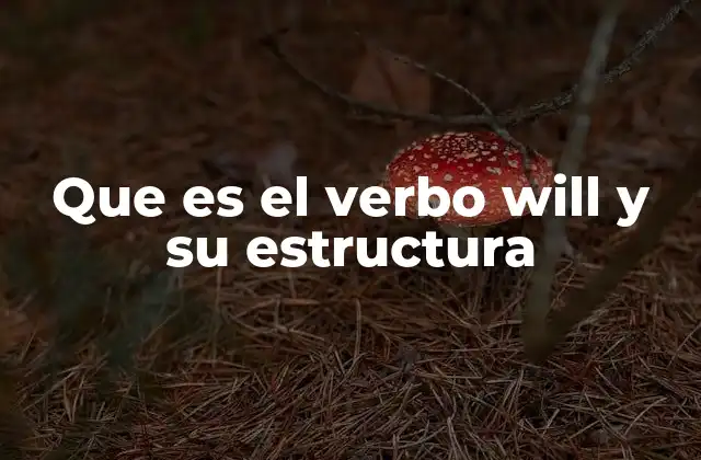 Que es el Verbo Will y Su Estructura