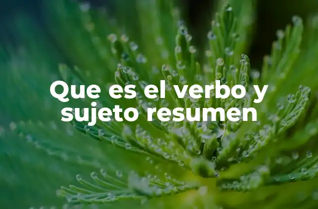 Que es el Verbo y Sujeto Resumen