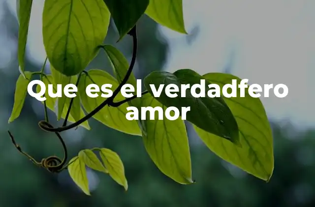 Que es el Verdadfero Amor