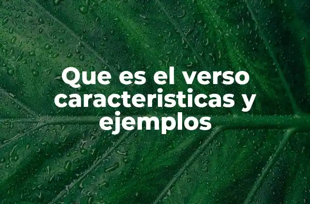 Que es el Verso Caracteristicas y Ejemplos