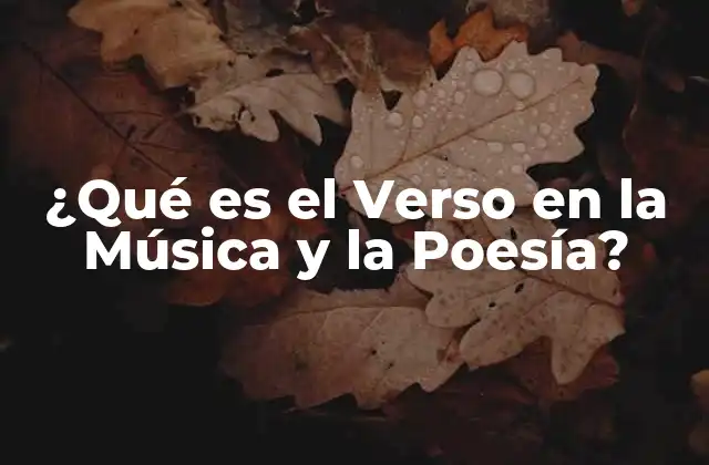 ¿qué es el Verso en la Música y la Poesía? 2 Orígenes del Verso
