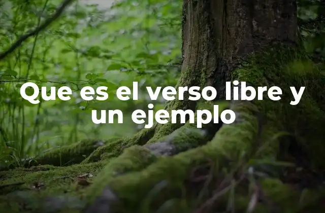 Que es el Verso Libre y un Ejemplo 2 Características del verso libre y su importancia en la poesía moderna