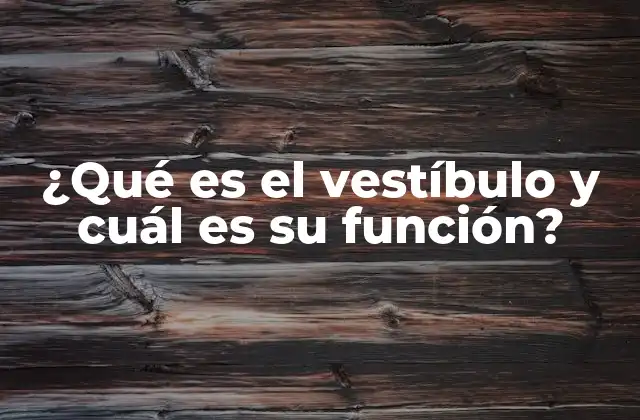 ¿qué es el Vestíbulo y Cuál es Su Función?