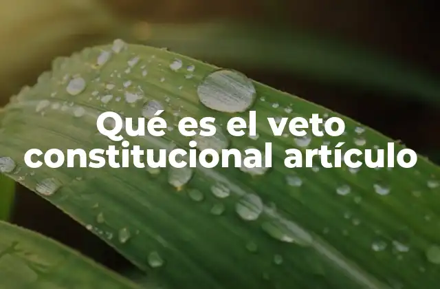 Qué es el Veto Constitucional Artículo