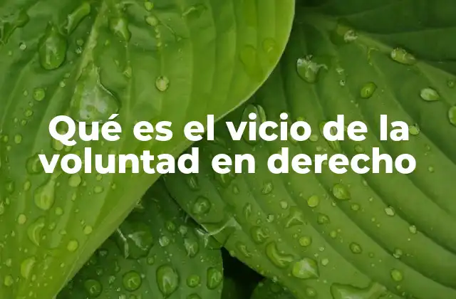 Qué es el Vicio de la Voluntad en Derecho