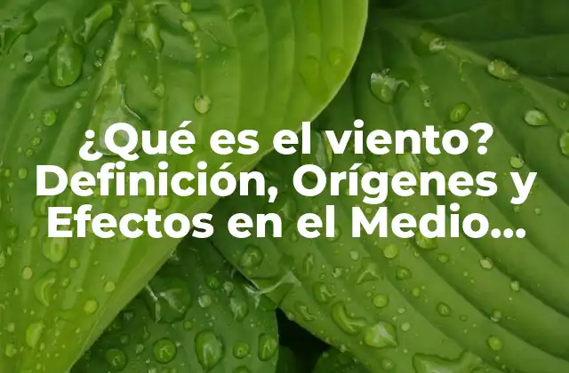 ¿qué es el Viento? Definición, Orígenes y Efectos en el Medio Ambiente
