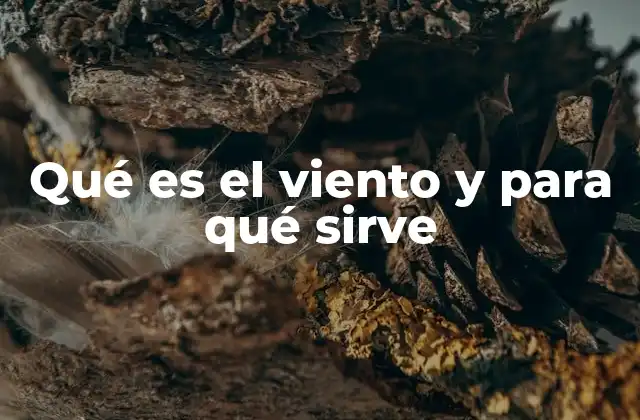 Qué es el Viento y para Qué Sirve