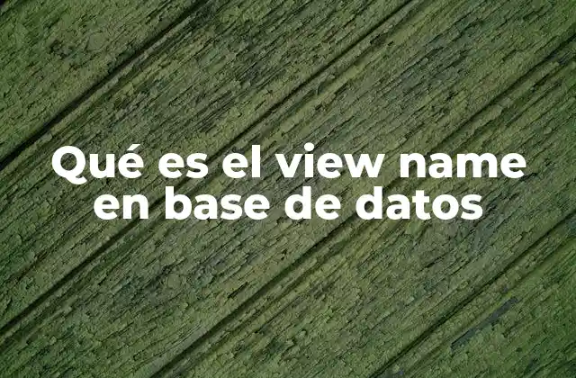 La importancia de los view names en la gestión de datos