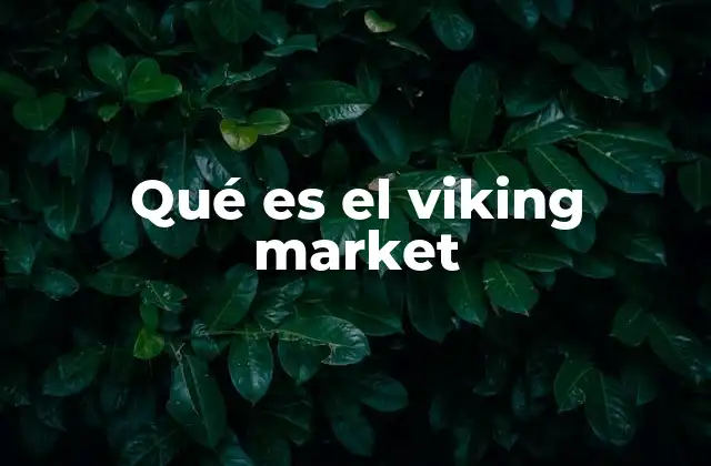 Qué es el Viking Market