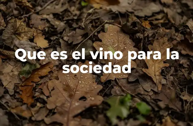 Que es el Vino para la Sociedad
