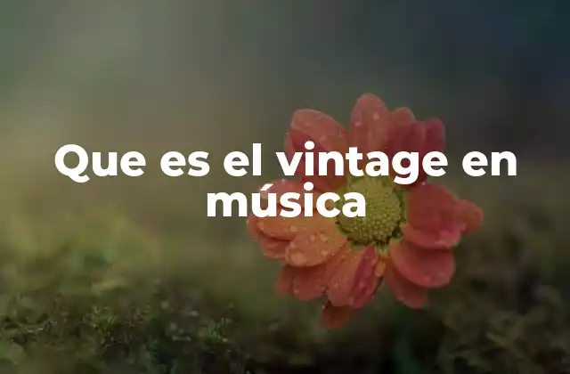 Que es el Vintage en Música