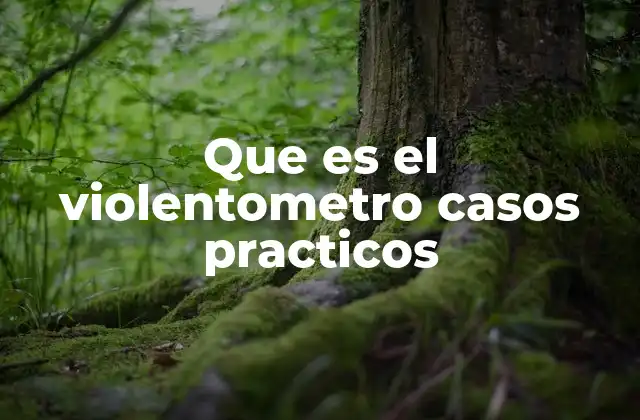 Que es el Violentometro Casos Practicos