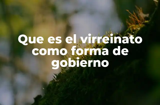 Que es el Virreinato como Forma de Gobierno