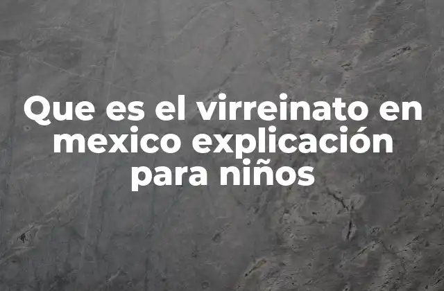 Que es el Virreinato en Mexico Explicación para Niños 2 ¿Cómo funcionaba el gobierno durante el virreinato?