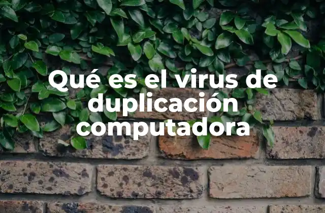 Qué es el Virus de Duplicación Computadora