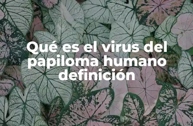 Qué es el Virus Del Papiloma Humano Definición