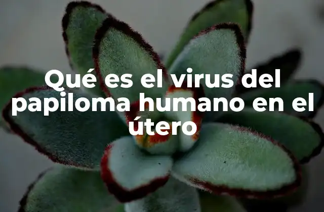 Qué es el Virus Del Papiloma Humano en el Útero