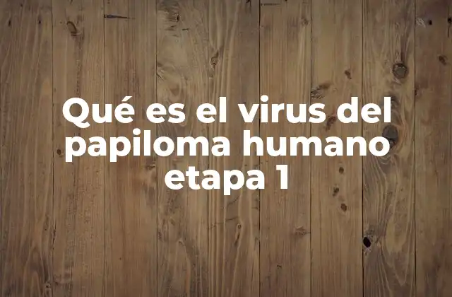 Qué es el Virus Del Papiloma Humano Etapa 1
