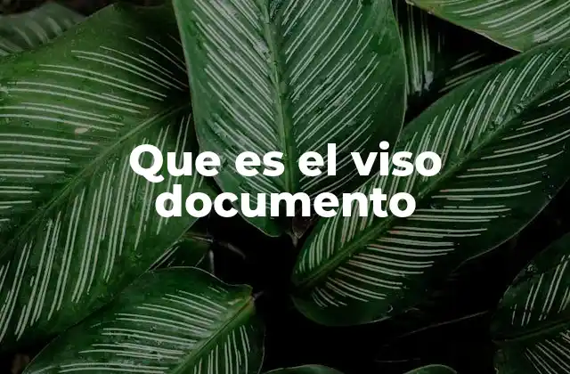 Que es el Viso Documento