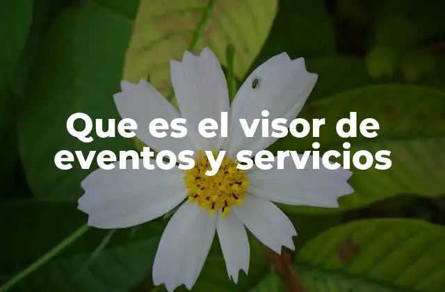 Cómo acceder y navegar por el visor de eventos y servicios