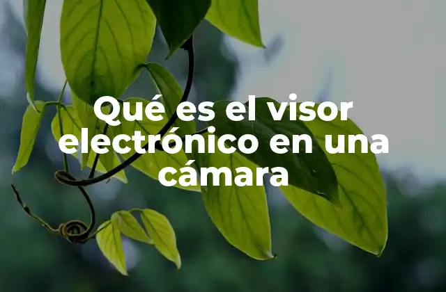 Qué es el Visor Electrónico en una Cámara