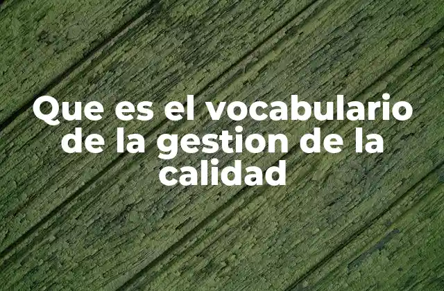Que es el Vocabulario de la Gestion de la Calidad