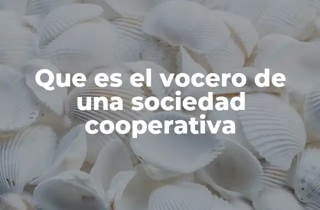 Que es el Vocero de una Sociedad Cooperativa