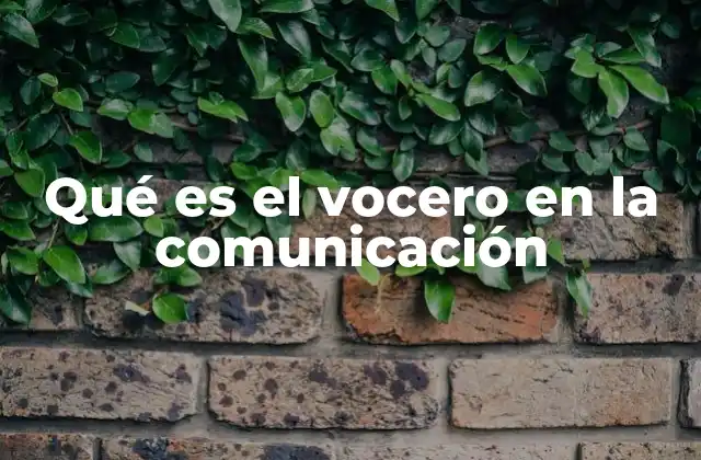 Qué es el Vocero en la Comunicación