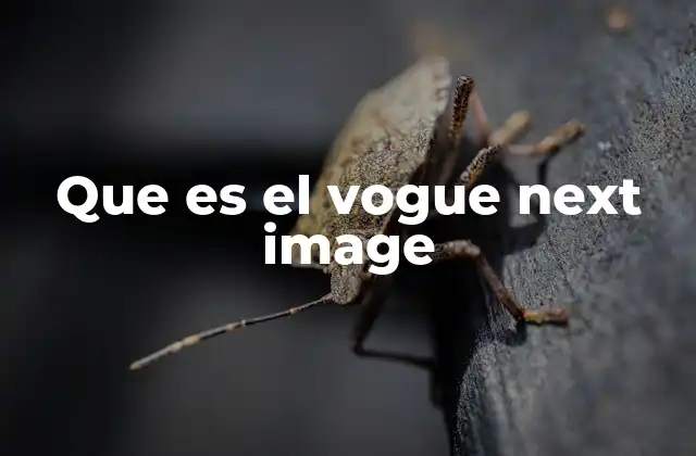 Que es el Vogue Next Image