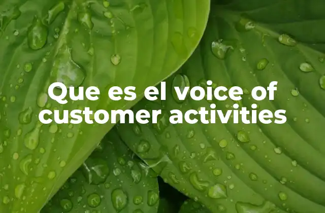 Que es el Voice Of Customer Activities