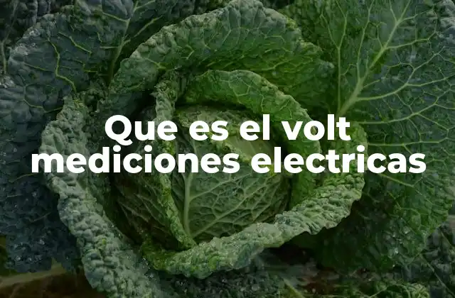 Que es el Volt Mediciones Electricas