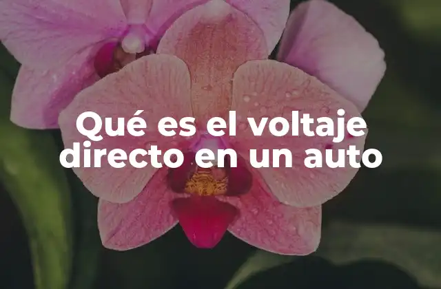 Qué es el Voltaje Directo en un Auto