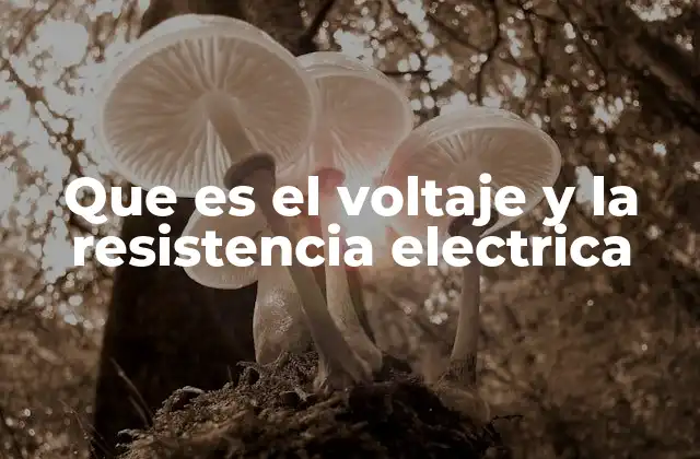 Cómo se relacionan el voltaje y la resistencia en un circuito eléctrico