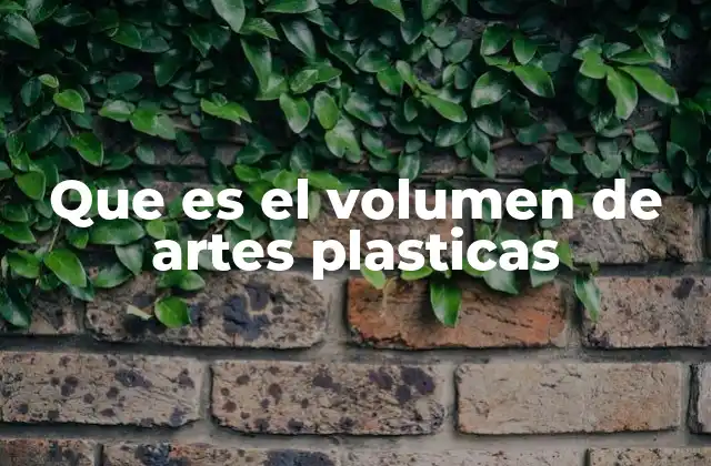 Que es el Volumen de Artes Plasticas