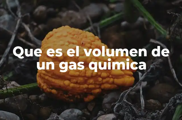 Que es el Volumen de un Gas Quimica