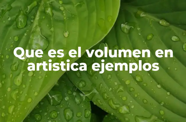 Que es el Volumen en Artistica Ejemplos