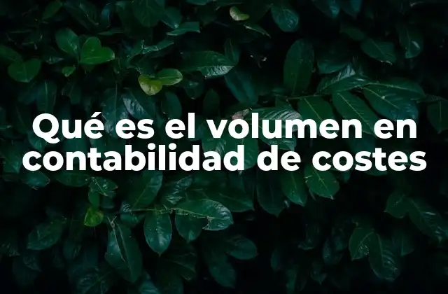 Qué es el Volumen en Contabilidad de Costes