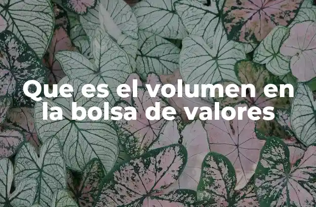 Que es el Volumen en la Bolsa de Valores
