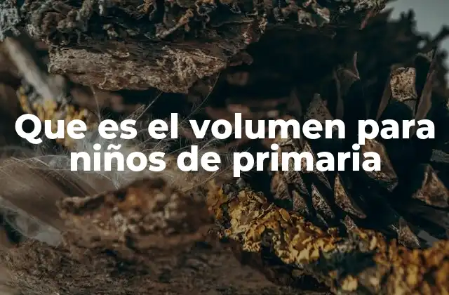 Que es el Volumen para Niños de Primaria