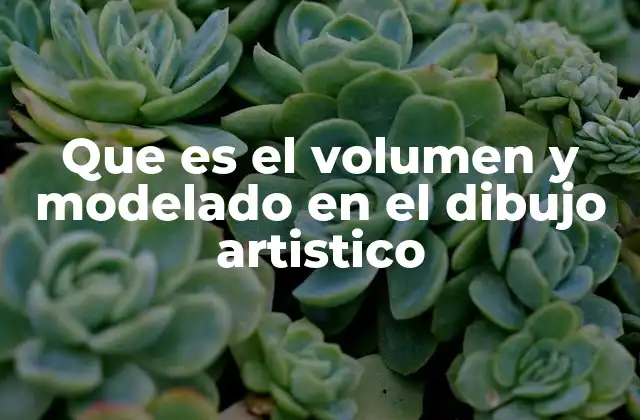 Que es el Volumen y Modelado en el Dibujo Artistico