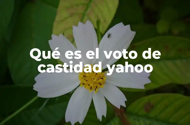 Qué es el Voto de Castidad Yahoo