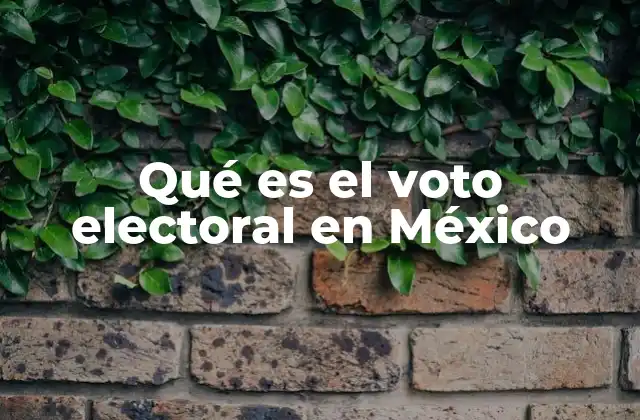 Qué es el Voto Electoral en México