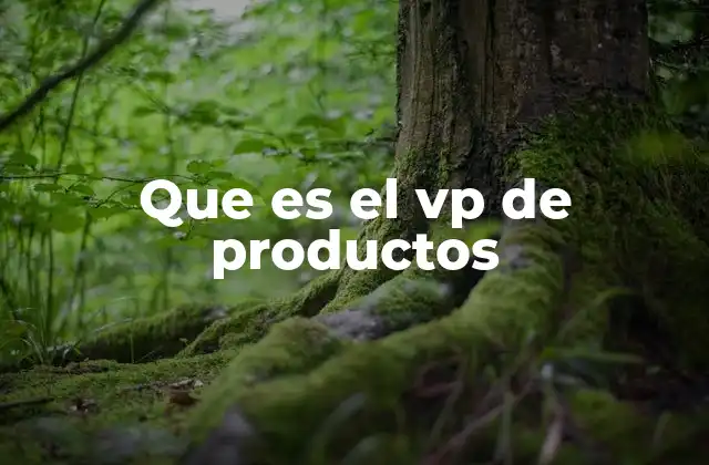 Que es el Vp de Productos